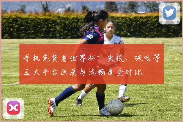 手机免费看世界杯:央视、咪咕等五大平台画质与流畅度全对比